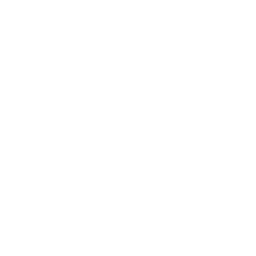 Gynecology 