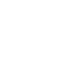 Ophthalmology